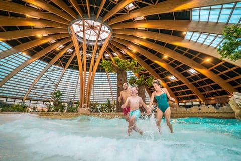 People, Pool view, Swimming pool, Family