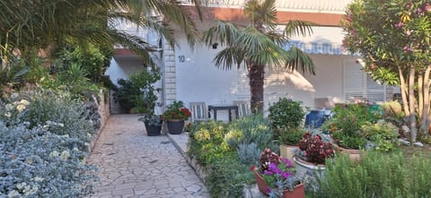 Apartments Fina Apartment in Crikvenica