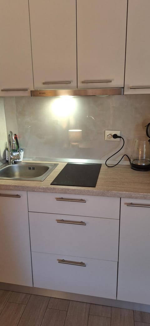 Apartments Fina Apartment in Crikvenica