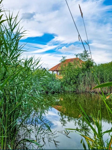 Natural landscape