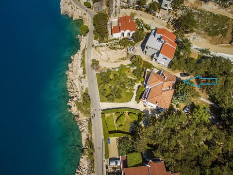 Spring, Day, Natural landscape, Bird's eye view, Garden, Beach, Beach, Garden view, Sea view, Street view