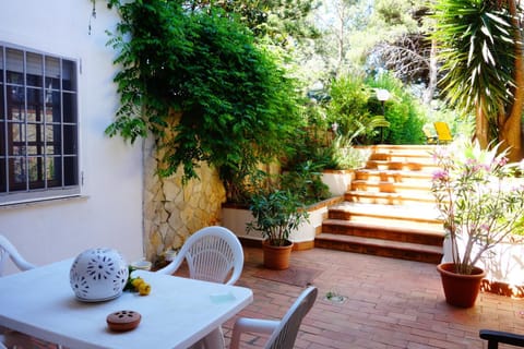 Garden view