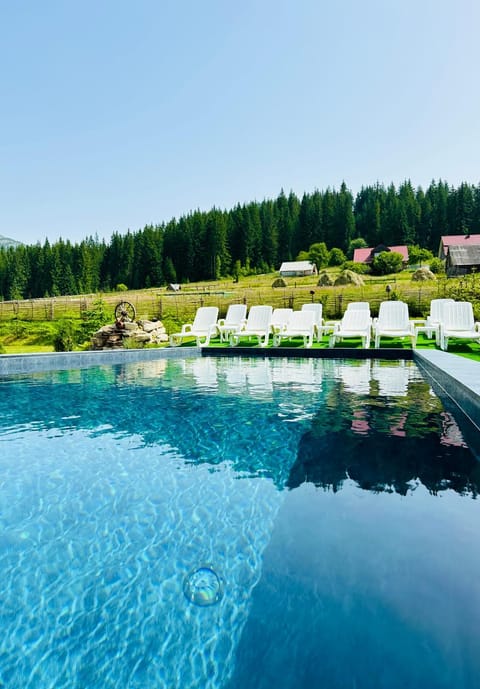 Natural landscape, Pool view, Swimming pool, sunbed