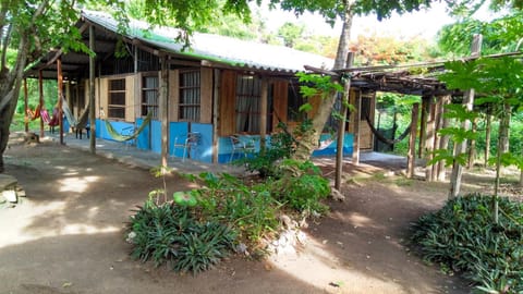 Garden, Area and facilities
