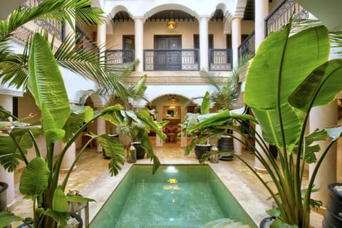 Patio, Day, Garden, Garden view, Pool view, Swimming pool, Swimming pool