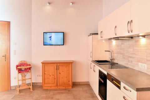 TV and multimedia, Kitchen or kitchenette, dishwasher, pet friendly, stove