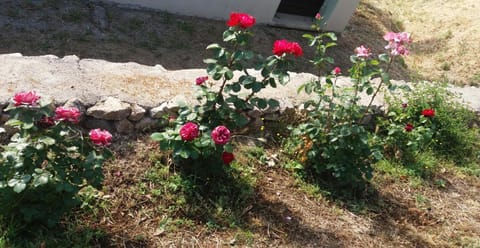 Lu Rotu Farm Stay in Sardinia