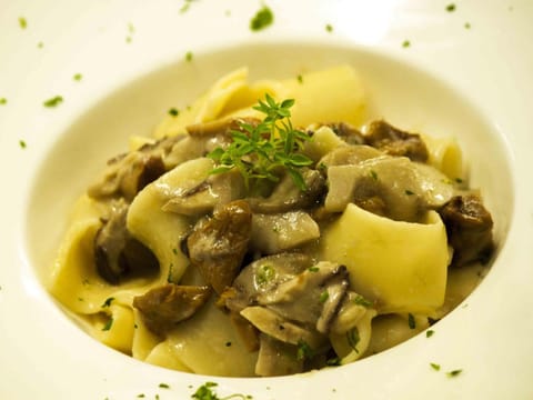 Food close-up, Food, Meals, Lunch, Dinner