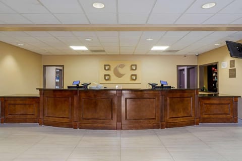 Staff, Lobby or reception