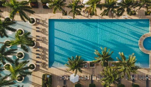Pool view, Swimming pool, sunbed