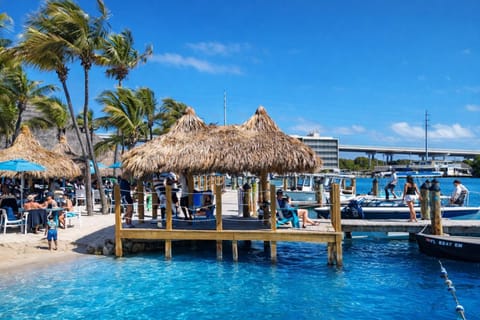 Activities, Sea view