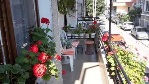 Neighbourhood, Balcony/Terrace, Street view