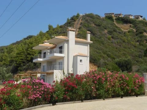Property building, Facade/entrance