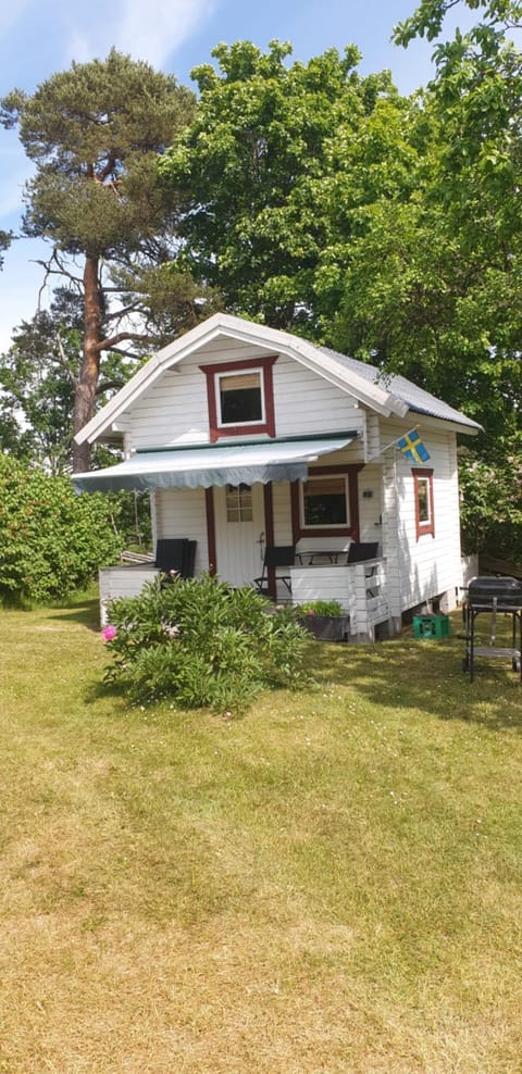 Property building, Garden view