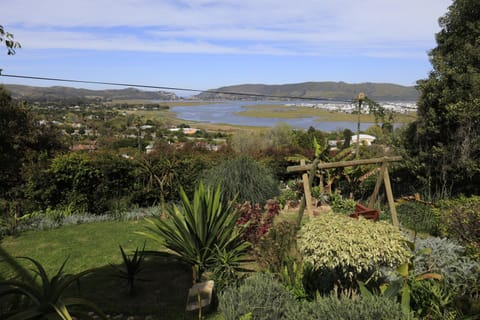 Garden, Sea view