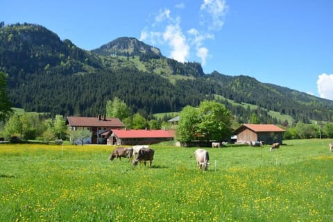 Property building, Animals