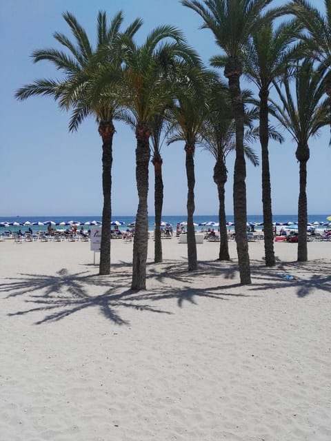 Spring, Off site, Beach