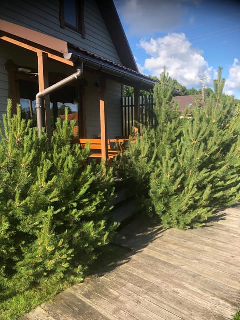 Dobilas ir jura Bed and Breakfast in Palanga