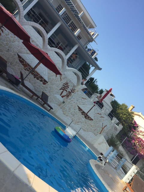 Pets, Pool view, Swimming pool, Swimming pool