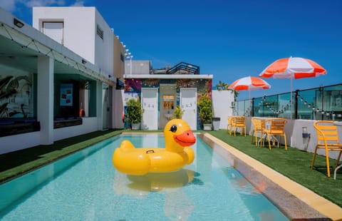 Day, Pool view, Swimming pool, sunbed