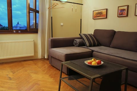 Living room, Photo of the whole room, Decorative detail, Seating area, City view