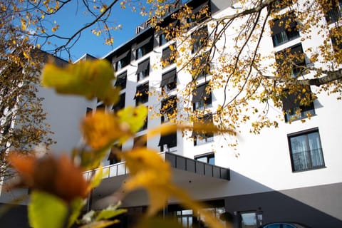 Property building, Day