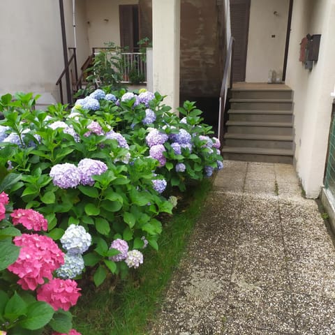 Apartment Santa Maria Apartment in Bolsena