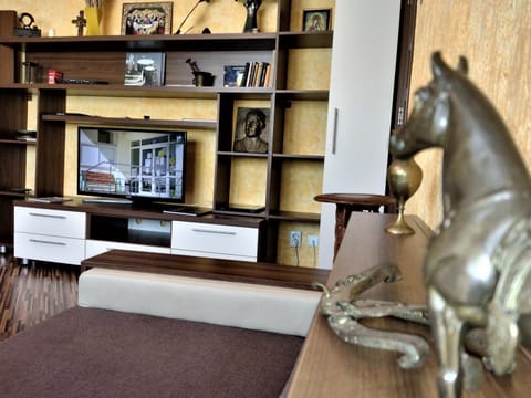 Activities, Living room, Entertainment