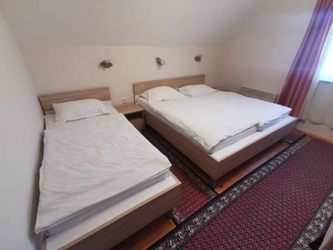 Vila Novaković X Apartment in Zlatibor