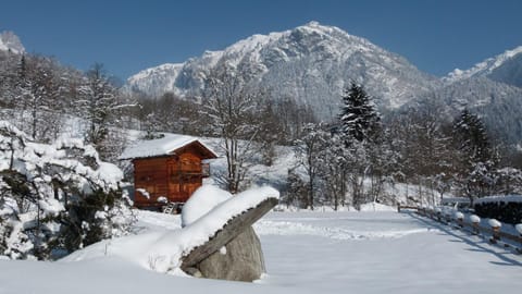Chamonix petit chalet Cocooning Chalet in Les Houches