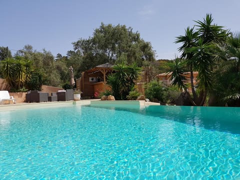 Garden, Garden view, Pool view, Swimming pool, sunbed