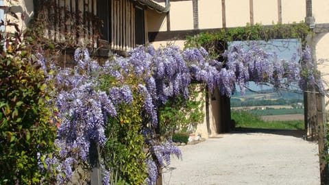 Property building, Facade/entrance, Spring, Garden, On site, Garden view