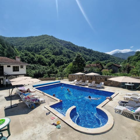 Pool view, Swimming pool, sunbed