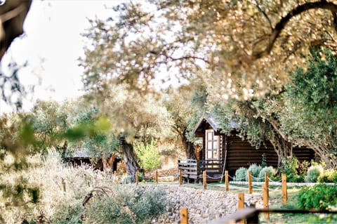 Property building, Garden