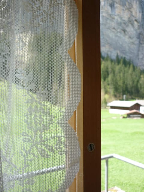 ALPENHOF Mountain Lodge Bed and Breakfast in Lauterbrunnen