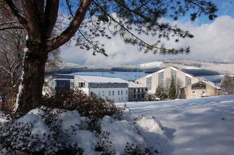 Property building, Natural landscape, Winter