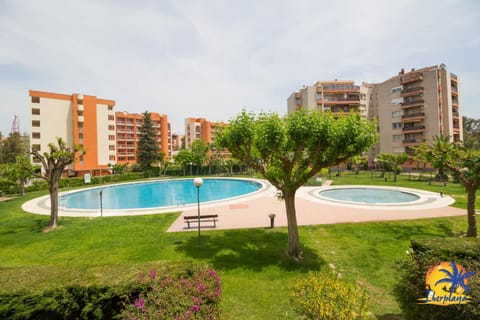Area and facilities, Swimming pool