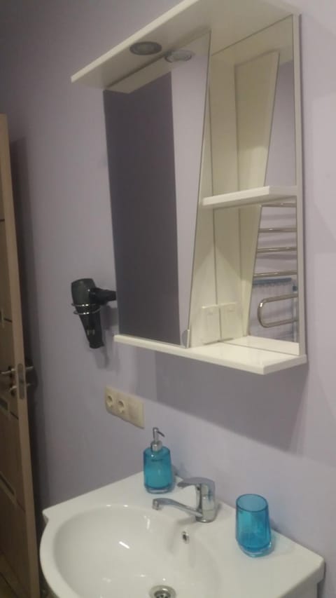 Šeimyninis butas Apartment in Lithuania