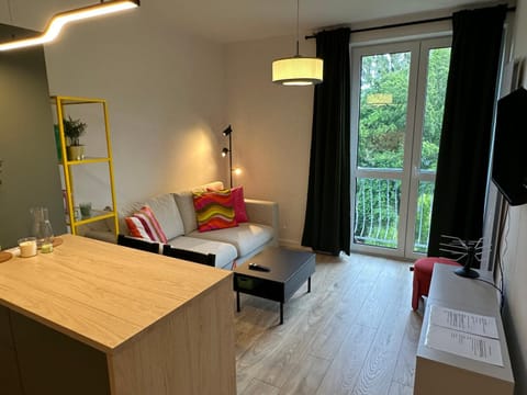 Living room, Photo of the whole room