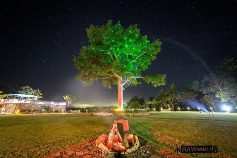 Night, Garden