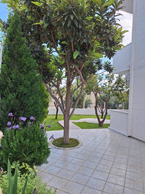 Vila Anxhelo Apartment in Ksamil