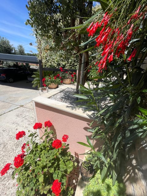 Property building, Garden, Garden view