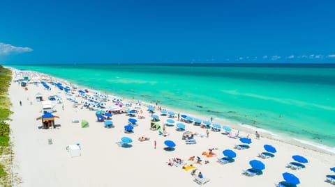 Oceanfront Private Condo at The Setai -2208 Apartment in South Beach Miami