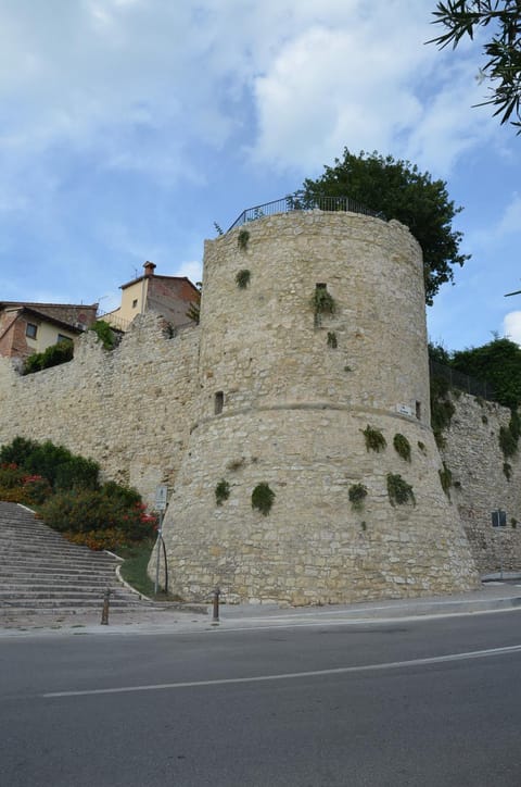 Property building, Garden, Garden view
