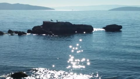 Apartment LaLa With Balcony Apartment in Šibenik-Knin County, Croatia