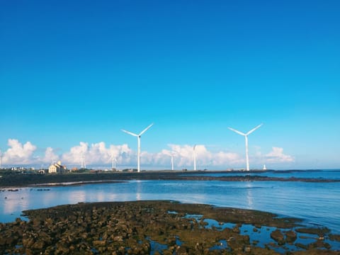 Neighbourhood, Natural landscape, Beach