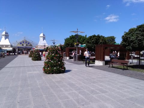 Nearby landmark, Neighbourhood, Activities