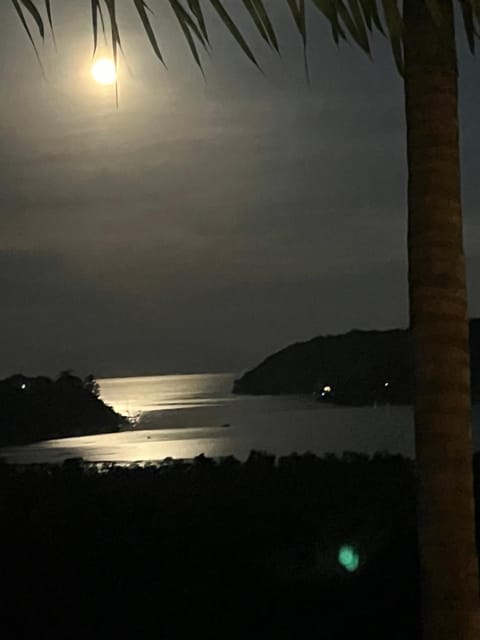 Recanto Ipê Amarelo Bed and Breakfast in State of Rio de Janeiro