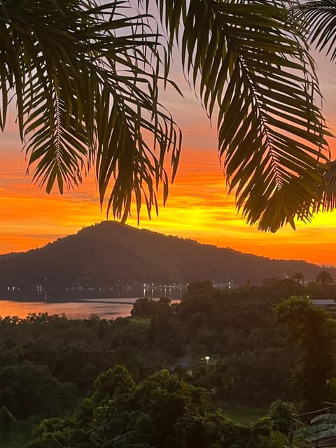 Recanto Ipê Amarelo Bed and Breakfast in State of Rio de Janeiro