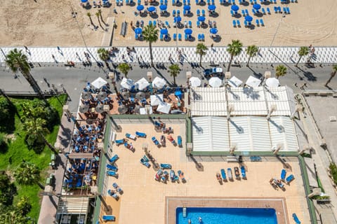 Day, Pool view, Swimming pool, Location, sunbed